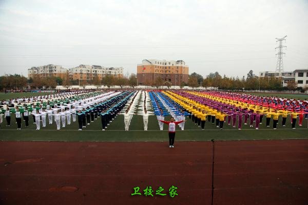 大亨体育平台怎么用先后在成都市半边桥