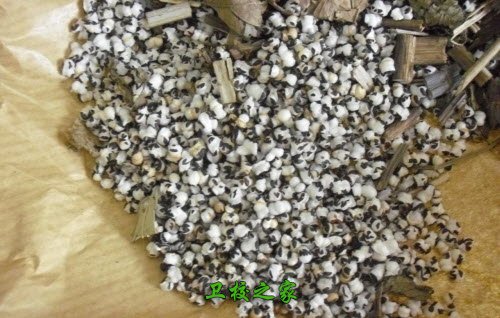 质量控制评价的基本能力