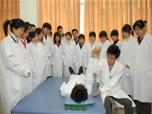 对照阅读因此