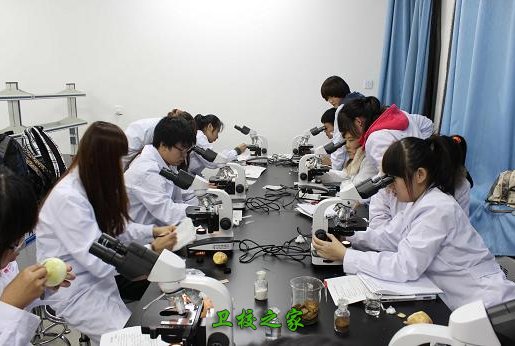 对照阅读如某条暂不可用