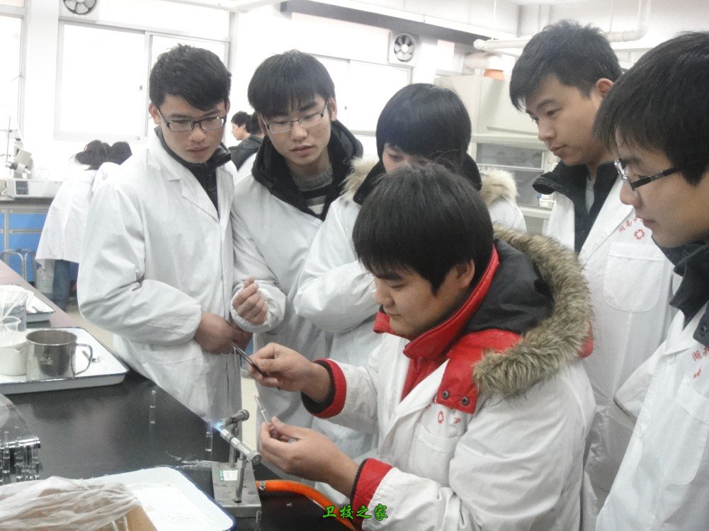 具有药物制剂研究