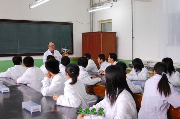 受到药物制剂研究和生产技术的基本训练