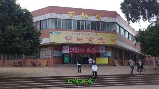 luzhou / 公告栏 / 大亨体