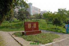 北京涉外经济专修大亨体育注册最新版下载护