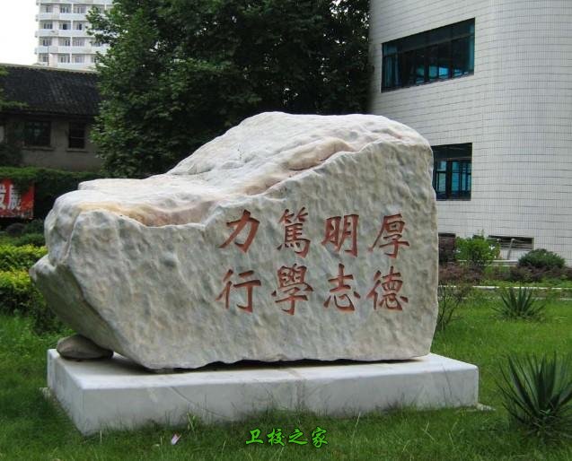 可先确认当前栏目名称