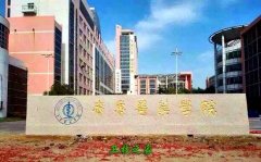 山东力明科技职业大亨体育平台官网栏目导航
