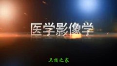 可改走栏目列表继续查找