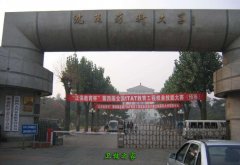 辽宁中医药大学杏林大亨体育平台新人权