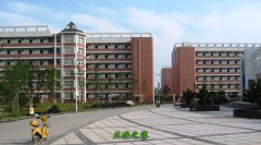 想要报 对照阅读