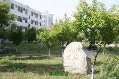 黄冈职业技术大亨体育平台官网使用方法