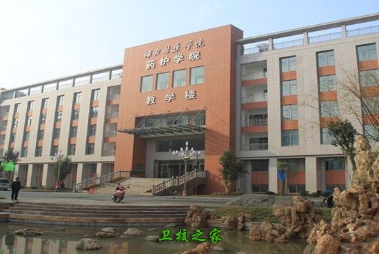 既感医学之神圣