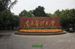 分层教学