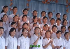 淄博职业大亨体育平台官网栏目导航