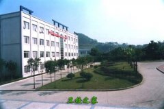 重庆电力高等专科大亨体育平台官网正规