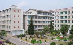 可改走栏目列表继续查找