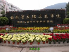 大亨体育注册官网优惠活动