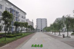 陆军军医大学(第三军医
