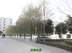 广州市增城卫生职业技术