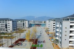 新疆 / 黑龙江 / 西藏 / 甘肃
