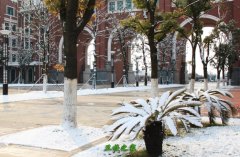历史悠久 办学60余载
