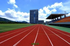 充分发挥行业办学优势