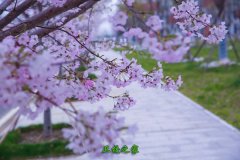 无锡卫生高等职业技术学