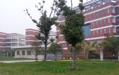 突出实践的办学之路