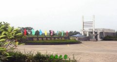 武汉江夏卫生大亨体育平台官网使用方法