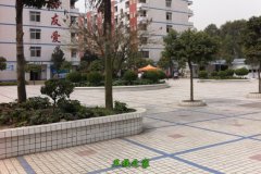 新疆 / 黑龙江 / 西藏 / 甘肃