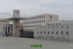 全日制本科生7409人(其中中英联合