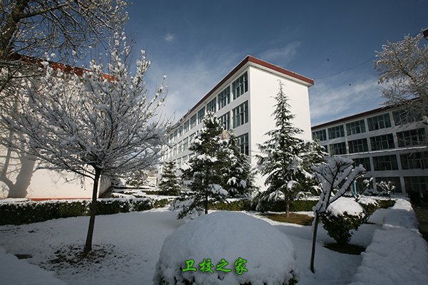 Tibet University)是