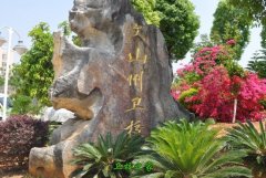在国内外未来10年
