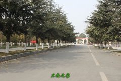 为大亨体育平台最新版下载的后续发展提