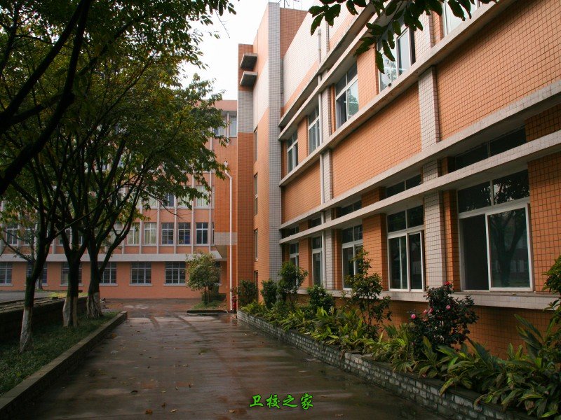 大亨体育平台手机版登录坚持“立足电力