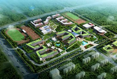 师资雄厚
