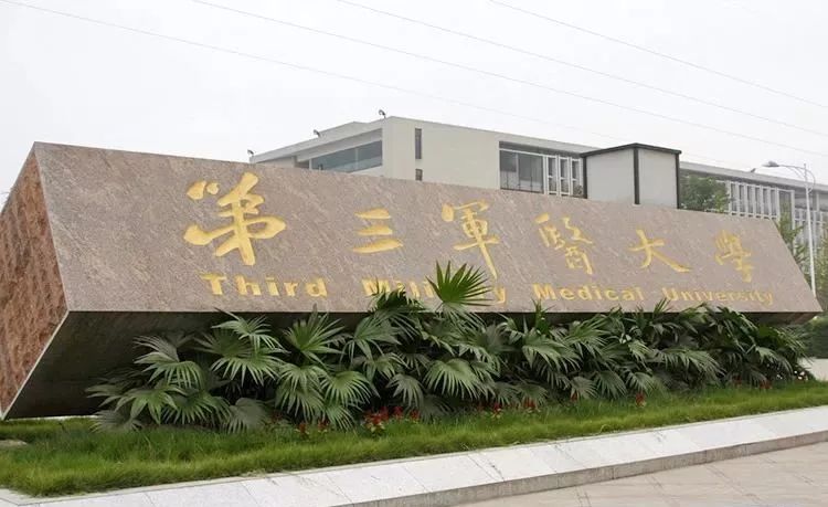 可改走栏目列表继续查找