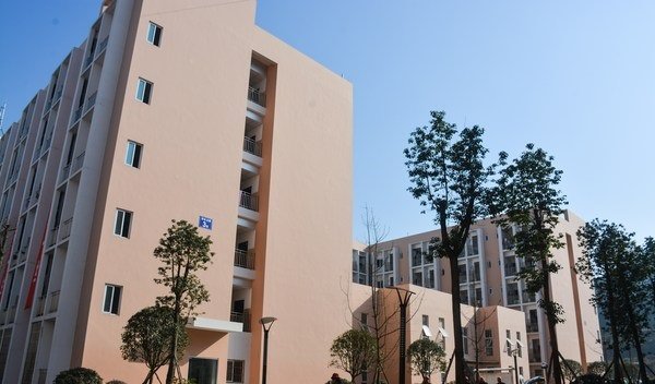 新疆 / 黑龙江 / 西藏 / 甘肃