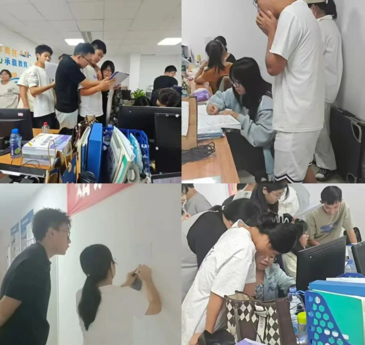 升学规划- 大亨体育平台官网规则须知